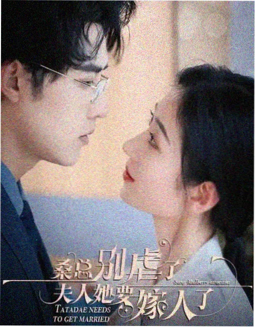 沉默的真相 - YY影院在线观看免费观看电视剧百度